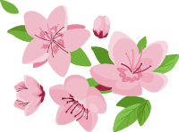 Petite fleurs de cerisiers en buisson
